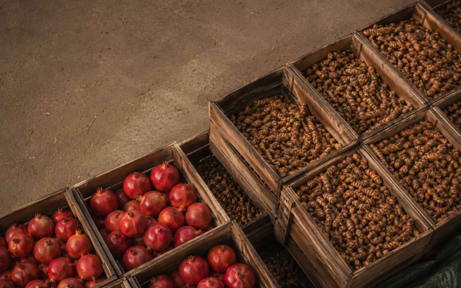 Freshly harvested produce gathered for collection